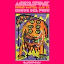 ACHILIFUNK SOUND SYSTEM A  - VINYL CASIOPONY [VINYL]