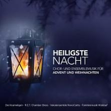 VARIOUS  - CD HEILIGSTE NACHT: ..