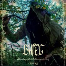 BHLEG  - CD FAGHRING