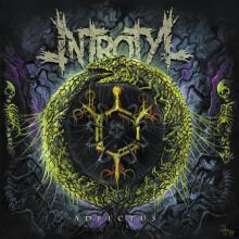 INTROTYL  - VINYL ADFECTUS (GREE..