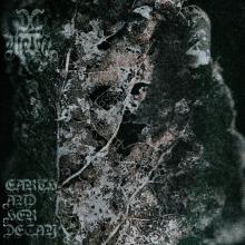  EARTH AND ITS DECAY [VINYL] - supershop.sk