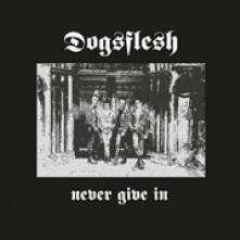  NEVER GIVE IN [VINYL] - supershop.sk