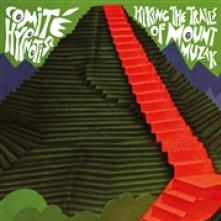 COMITE HYPNOTISE  - VINYL HIKING THE TRA..