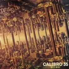 CALIBRO  - VINYL DECADE [VINYL]