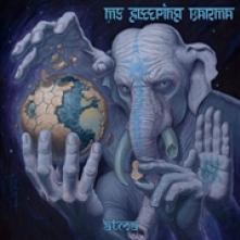 MY SLEEPING KARMA  - CD ATMA