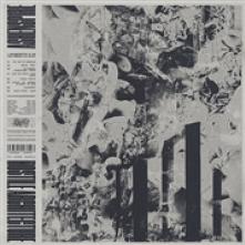  HOSTILE ARCHITECTURE [VINYL] - suprshop.cz