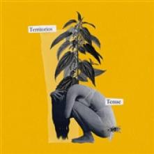 TENUE  - VINYL TERRITORIOS [VINYL]