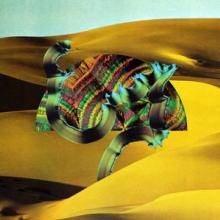  DJANGO DJANGO [VINYL] - supershop.sk