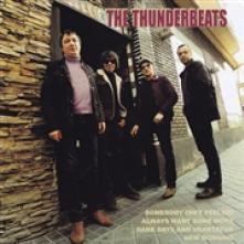 THUNDERBEATS  - SI SOMEBODY ISN'T FEELING /7