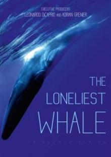 DOCUMENTARY  - DVD LONELIEST WHALE - THE SEARCH FOR 52
