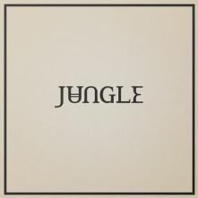 JUNGLE  - VINYL LOVING IN STER..