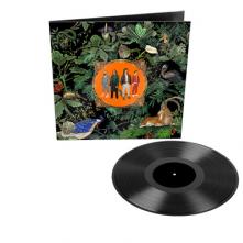  AMAZING THINGS LTD. [VINYL] - supershop.sk