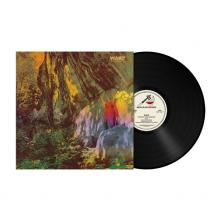  THOUGHT FROM DESCENT [VINYL] - supershop.sk