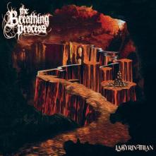 BREATHING PROCESS  - CD LABYRINTHIAN
