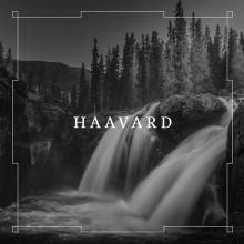 HAAVARD  - CD HAAVARD