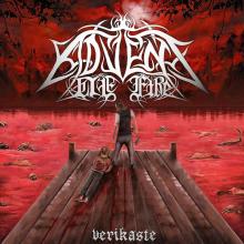 ADVENT OF FIRE  - CD VERIKASTE