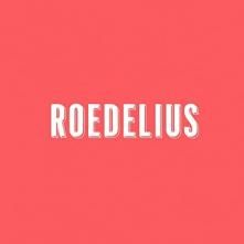 ROEDELIUS  - VINYL DRAUF UND DRAN -INDIE- [VINYL]