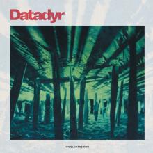 DATADYR  - VINYL WOOLGATHERING [VINYL]