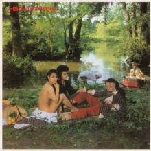  SEE JUNGLE! SEE JUNGLE!//180GR/DEBUT/2000 CPS GREE [VINYL] - supershop.sk