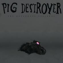 PIG DESTROYER  - VINYL OCTAGONAL STAIRWAY [VINYL]