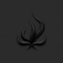  BLACK FLAME [VINYL] - suprshop.cz