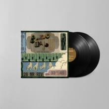  DUST MY BROOM [VINYL] - supershop.sk