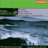 HICKOX RICHARD/BBCW  - CD ORCHESTRAL WORKS VOL.2