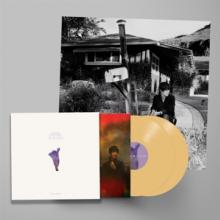  WE'VE BEEN GOING ABOUT THIS ALL WRONG [VINYL] - suprshop.cz