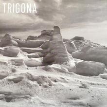  TRIGONA [VINYL] - supershop.sk