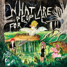  WHAT ARE PEOPLE FOR? [VINYL] - supershop.sk