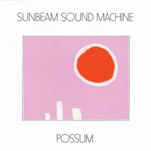  POSSUM [VINYL] - suprshop.cz