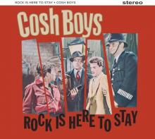 COSH BOYS  - VINYL ROCK'N'ROLL IS..