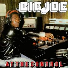  AT THE CONTROL [VINYL] - supershop.sk