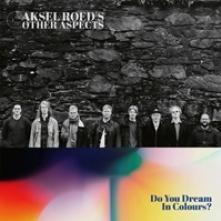 AKSEL RĂ?EDâ€™S OTHER AS..  - VINYL DO YOU DREAM IN COLOURS? [VINYL]