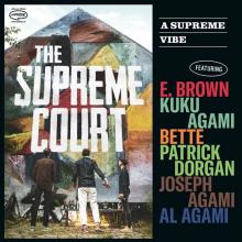 SUPREME COURT  - VINYL A SUPREME VIBE [VINYL]