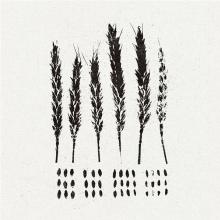  THE GLEANERS [VINYL] - suprshop.cz