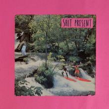  SHIT PRESENT [VINYL] - supershop.sk