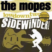  LOWDOWN, TWO-BIT SIDEWINDER! [VINYL] - suprshop.cz