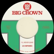  7-I'LL NEVER LEAVE [VINYL] - supershop.sk