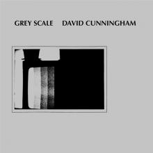 CUNNINGHAM DAVID  - VINYL GREY SCALE [VINYL]