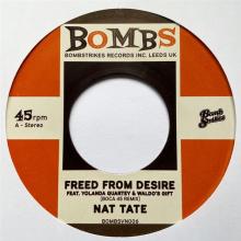 BOCA 45 & NAT TATE  - SI FREED FROM DESIRE /7