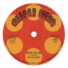  YOU'RE SO FINE [VINYL] - suprshop.cz