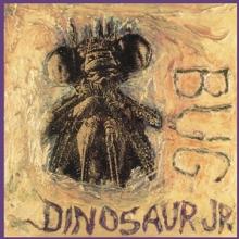 DINOSAUR JR.  - CD BUG