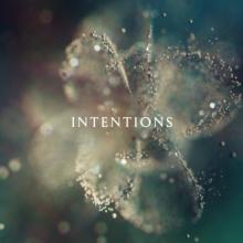  INTENTIONS [VINYL] - supershop.sk