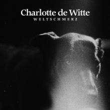 WITTE CHARLOTTE DE  - VINYL WELTSCHMERZ -COLOURED- [VINYL]