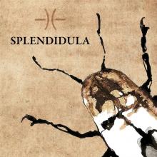 SPLENDIDULA  - VINYL SPLENDIDULA [VINYL]