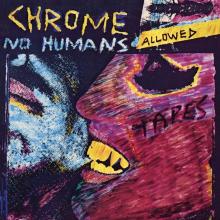  NO HUMANS ALLOWED [VINYL] - supershop.sk