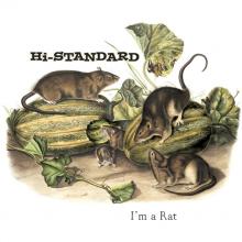 HI-STANDARD  - SI I'M A RAT /7