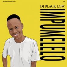 DJ BLACK LOW  - 2xVINYL IMPUMELELO [VINYL]