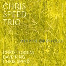 SPEED CHRIS -TRIO-  - CD DESPITE OBSTACLES